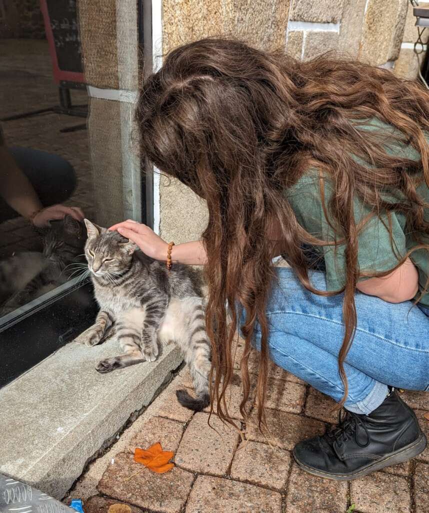 La communication animale, Comprendre ses animaux, énergie animale